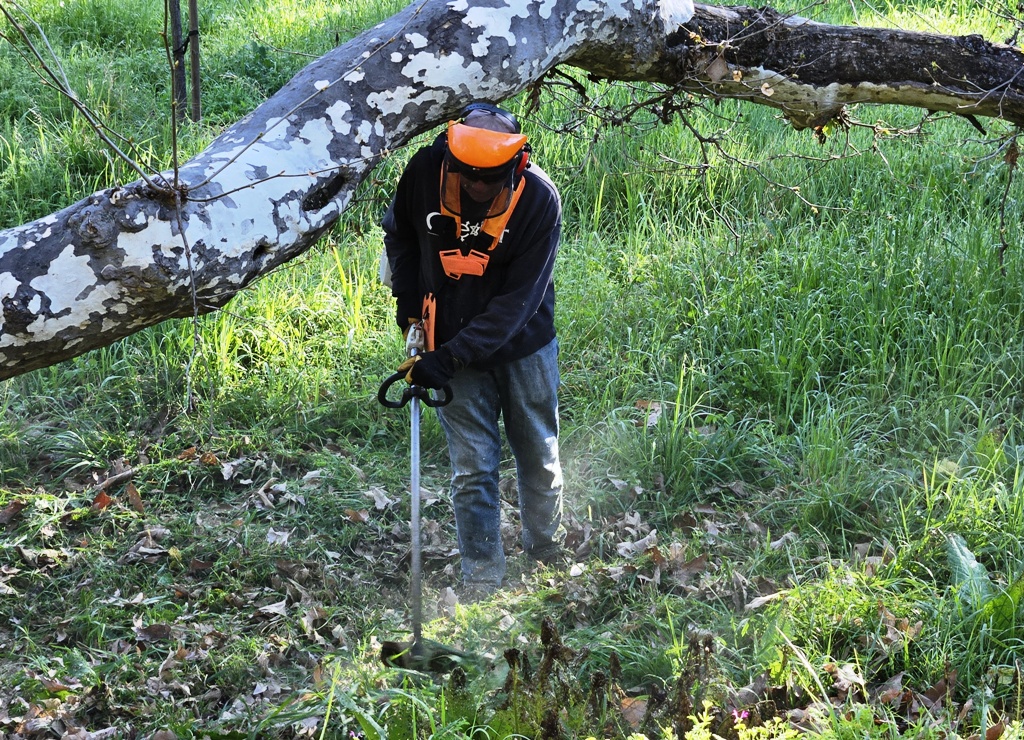 Greg cutting down the weeds!